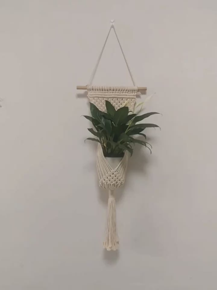 CJJJYSZW01383